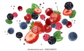 Fruit